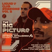 Artificial Intelligence - Liquid V Club Sessions Vol 2 - The Big Picture (Liquid V LQDCD002, 2006) :   